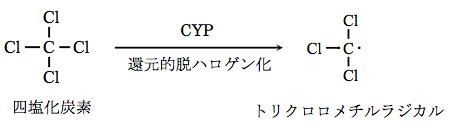 解説画像